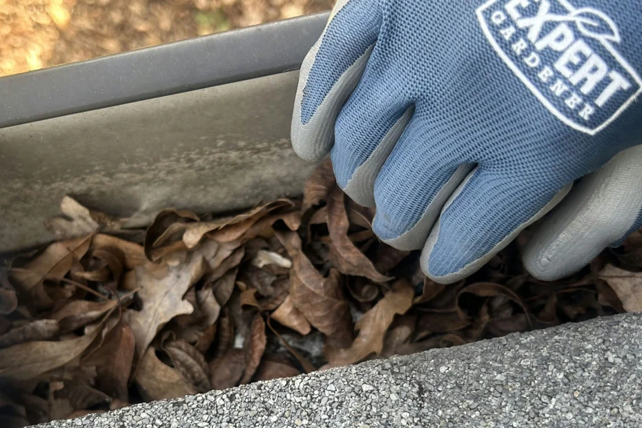 Gutter Cleaning Addis