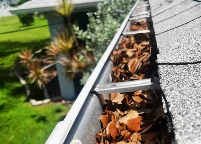 Gutter Cleaning Addis home page